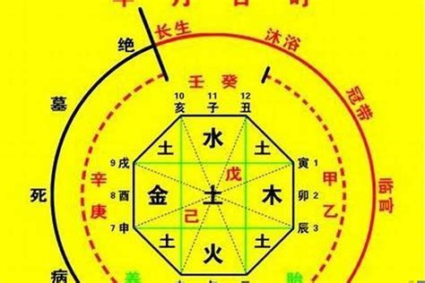 天運 命格|生辰八字算命、五行喜用神查询（免费测算）